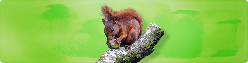 alt_Tesis_y_trabajos_de_grado