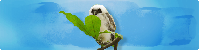 alt_Publicaciones_Académicas_y_Científicas