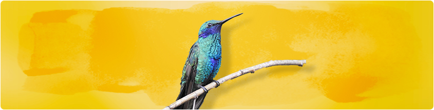 alt_Grupos_de_Investigación